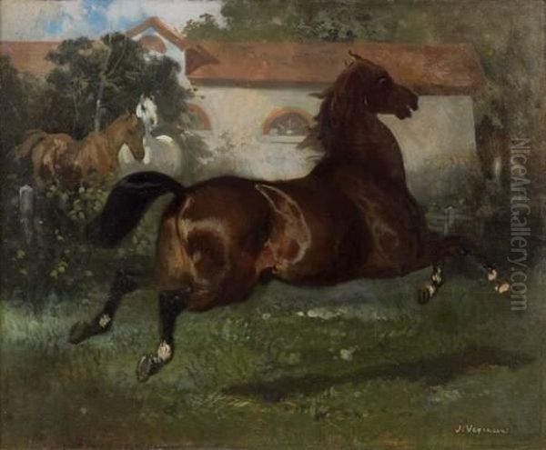 Cheval Au Pre Devant Une Ecurie Oil Painting by Jules Jacques Veyrassat