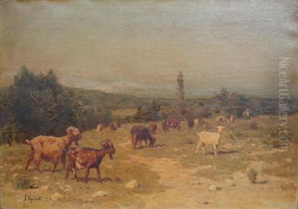 Animales Pastando Oil Painting by Jules Jacques Veyrassat