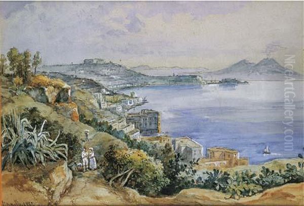 Veduta Di Napoli Oil Painting by Achille Vianelli