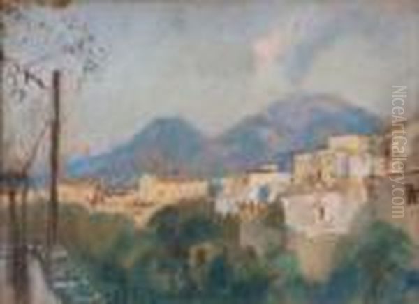 Veduta Del Vesuvio Oil Painting by Gennaro Villani