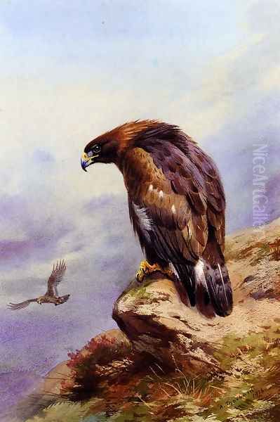 A Golden Eagle Oil Painting by Archibald Thorburn