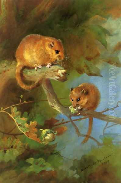 Dormice Oil Painting by Archibald Thorburn