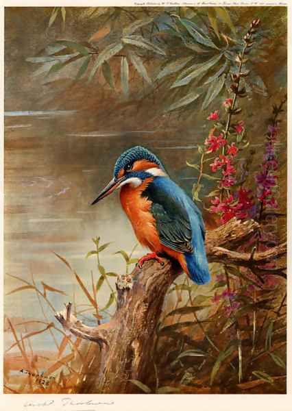 Summer Kingfisher Oil Painting by Archibald Thorburn