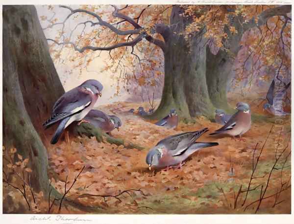 Wood Pigeon on Beech Mast Oil Painting by Archibald Thorburn