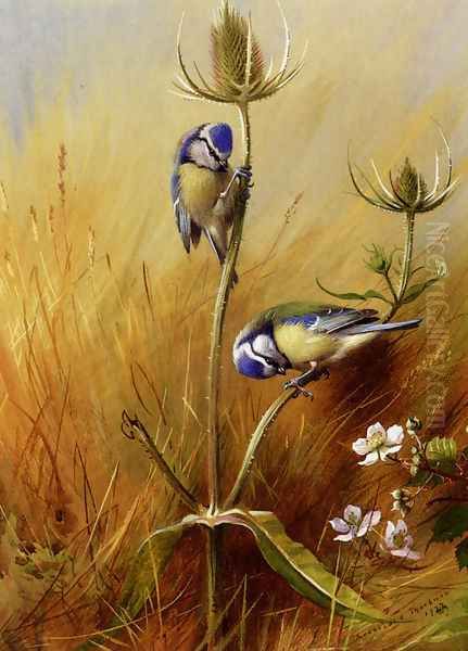 Bluetits On A Teasel Oil Painting by Archibald Thorburn