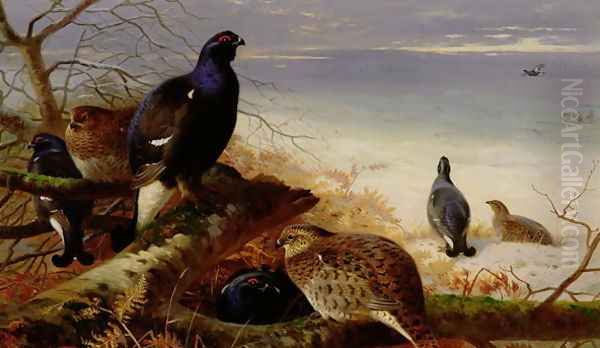 Blackgame, 1903 Oil Painting by Archibald Thorburn