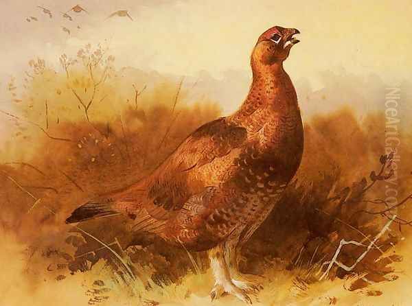 Cock Grouse Oil Painting by Archibald Thorburn