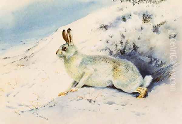 Hare Oil Painting by Archibald Thorburn