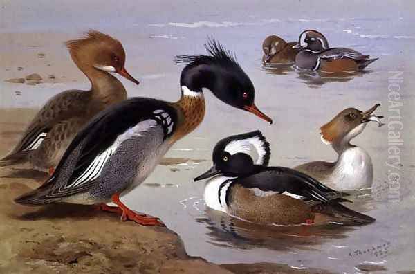 Ducks by a Lake Oil Painting by Archibald Thorburn