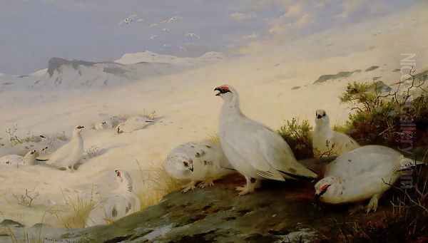 Ptarmigan, 1903 Oil Painting by Archibald Thorburn