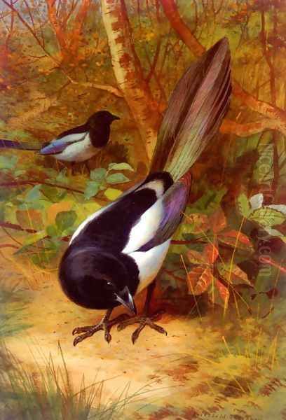 Magpies Oil Painting by Archibald Thorburn