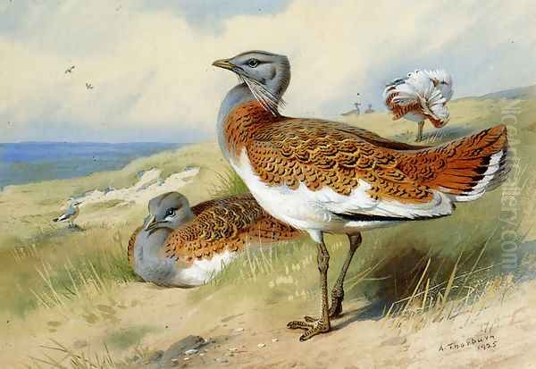 Great bustards Oil Painting by Archibald Thorburn