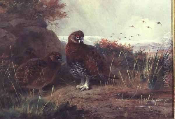 Grouse in a Winter Landscape Oil Painting by Archibald Thorburn