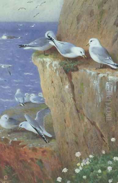 Seagulls Oil Painting by Archibald Thorburn