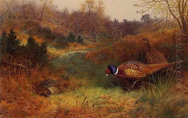 Autumn Sunshine Oil Painting by Archibald Thorburn