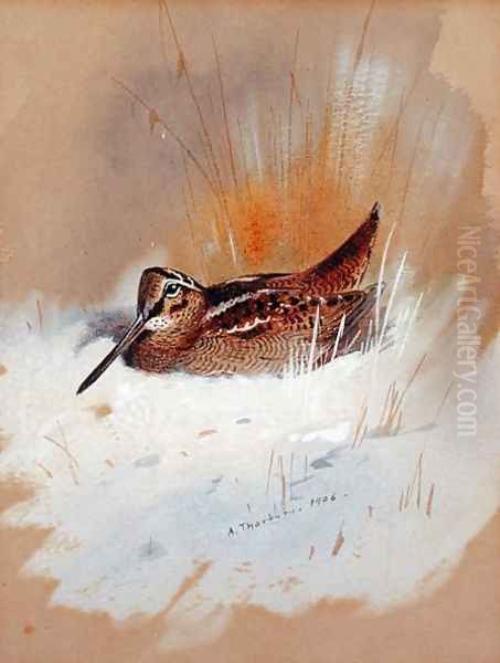 Woodcock in Snow, 1906 Oil Painting by Archibald Thorburn