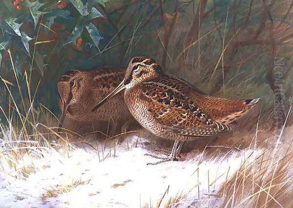 Woodcock in the Undergrowth Oil Painting by Archibald Thorburn