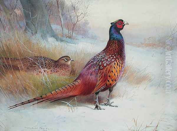 Old English Pheasant Oil Painting by Archibald Thorburn