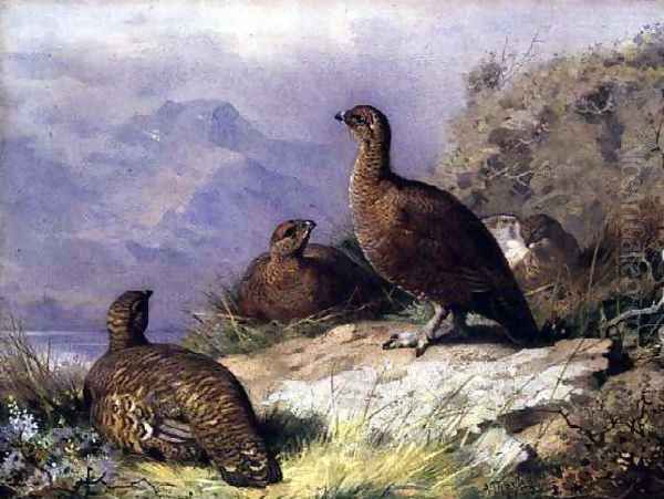 Red Grouse on the Shore of a Loch Oil Painting by Archibald Thorburn