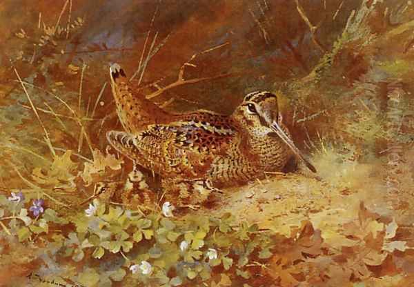 Woodcock and Chicks Oil Painting by Archibald Thorburn