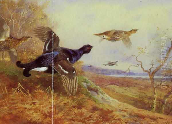 Blackgame in Flight Oil Painting by Archibald Thorburn