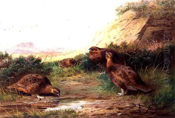 Grouse in a Landscape Oil Painting by Archibald Thorburn