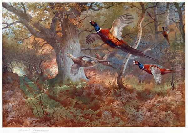 Pheasants Through the Oak Wood Oil Painting by Archibald Thorburn