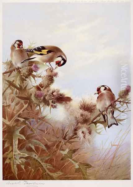 Goldfinches on Thistles Oil Painting by Archibald Thorburn