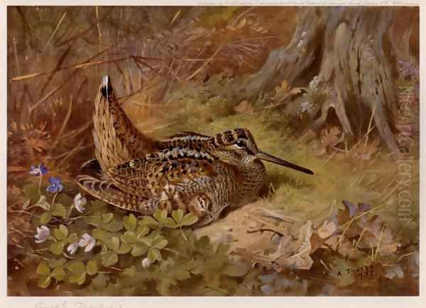 Woodcock and Dog Violets Oil Painting by Archibald Thorburn