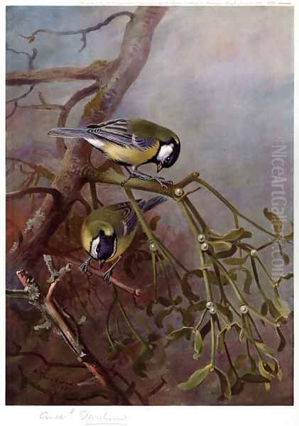 Great Tits and Mistletoe Oil Painting by Archibald Thorburn