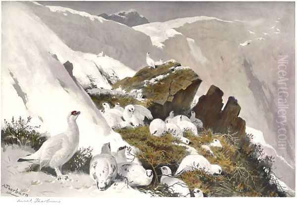 Ptarmigan on Snow Slip Oil Painting by Archibald Thorburn