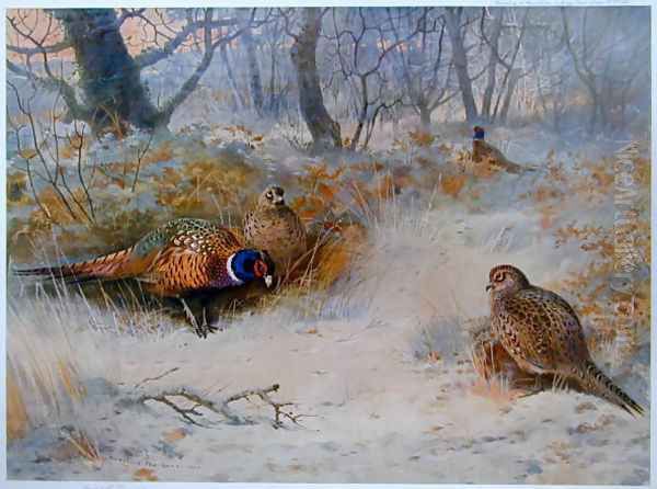 Frost in the Coverts Oil Painting by Archibald Thorburn