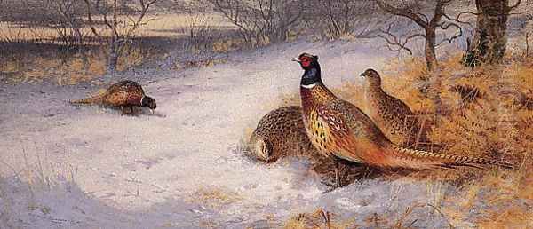 Pheasants in the Snow Oil Painting by Archibald Thorburn