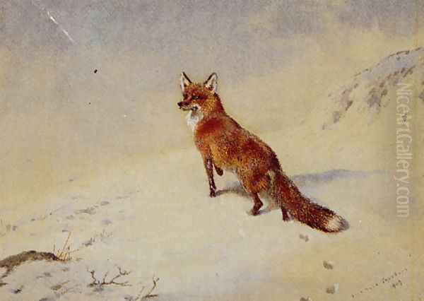 Startled Oil Painting by Archibald Thorburn