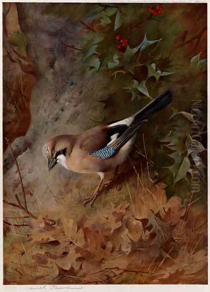 Jay Oil Painting by Archibald Thorburn