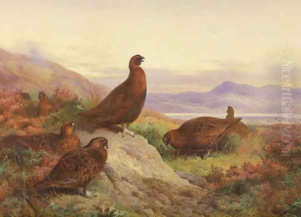 The Morning Call Oil Painting by Archibald Thorburn