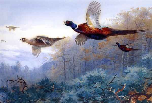 Pheasants in Flight Oil Painting by Archibald Thorburn