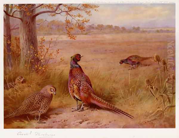 The Old and the New Oil Painting by Archibald Thorburn