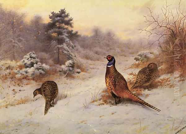 Winter's Sunset Oil Painting by Archibald Thorburn