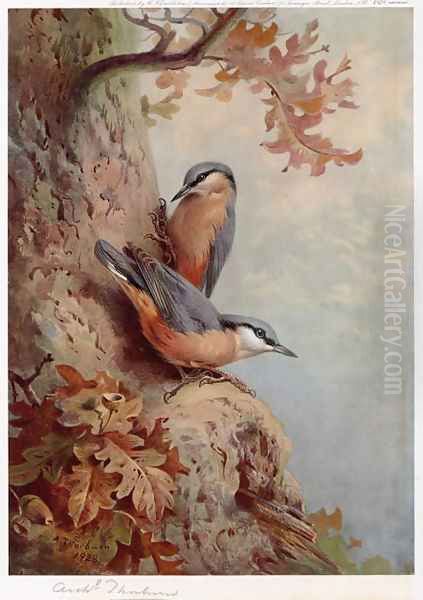 Nuthatches Oil Painting by Archibald Thorburn