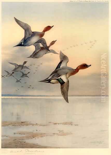 Wigeon Over the Estuary Oil Painting by Archibald Thorburn