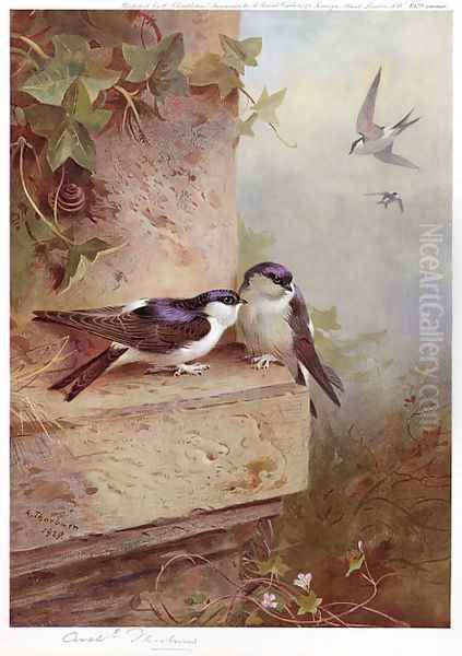 Housemartins Oil Painting by Archibald Thorburn