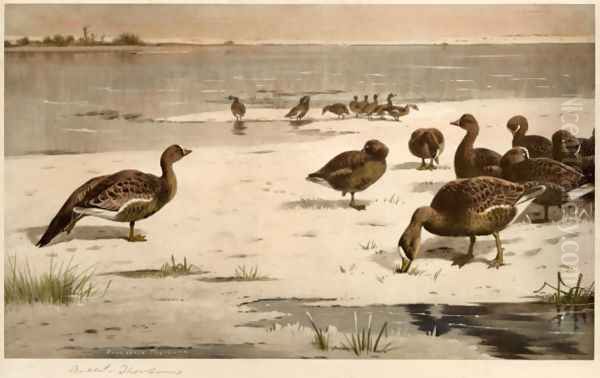 Unapproachable Geese Oil Painting by Archibald Thorburn