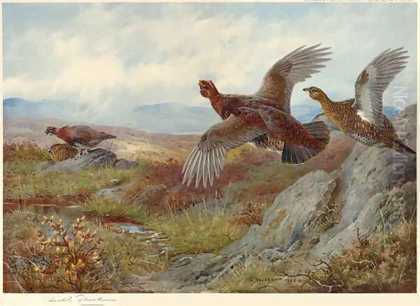 Grouse Over the Moor Oil Painting by Archibald Thorburn