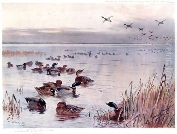 Mallard on the Lake at Sandringham Oil Painting by Archibald Thorburn