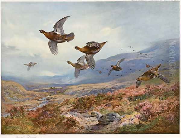 Grouse Over the Burn Oil Painting by Archibald Thorburn