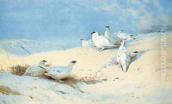 'In the rays of the morning sun' Ptarmigan in the snow Oil Painting by Archibald Thorburn