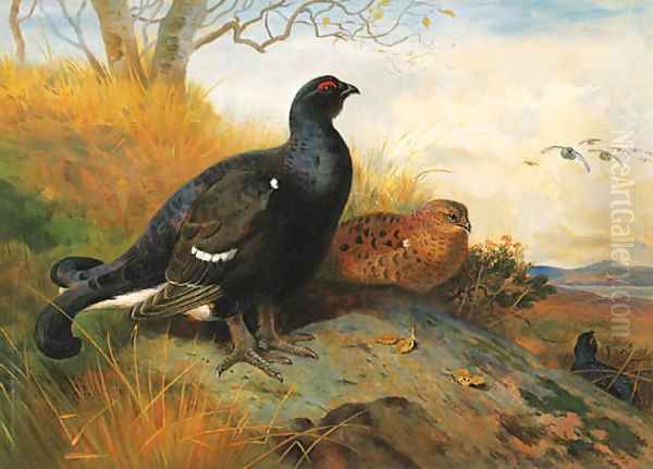 Blackgame on a rocky Outcrop beneath a Tree, a lake beyond Oil Painting by Archibald Thorburn