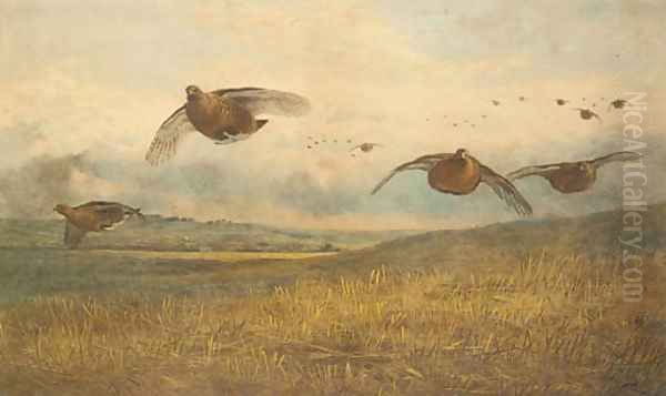 The Twelfth Oil Painting by Archibald Thorburn