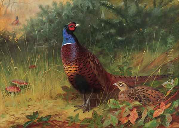 'In the Furze Breake' A cock and hen pheasant among gorse Oil Painting by Archibald Thorburn